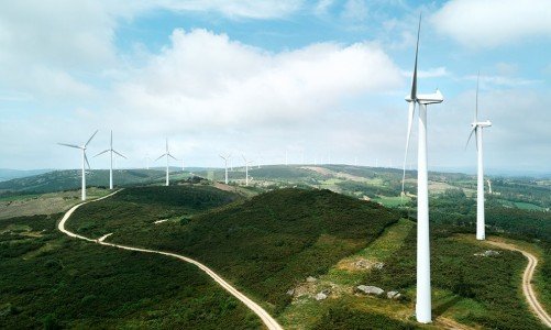  Energia eólica registra novo recorde no SIN 